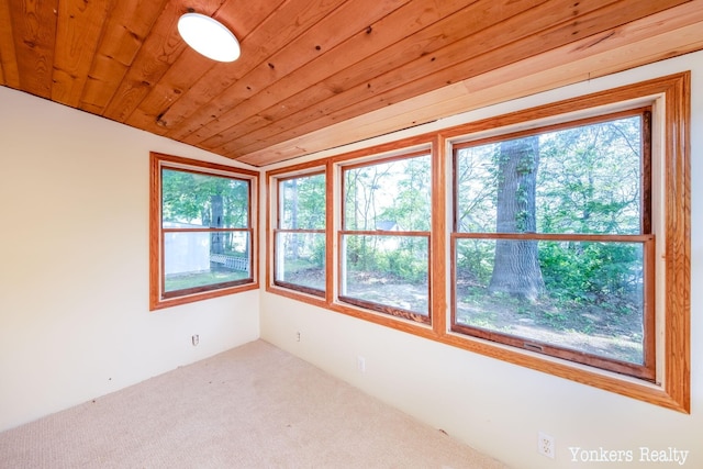 2696 Cottage Dr, Orleans, MI 48865 - photo 7
