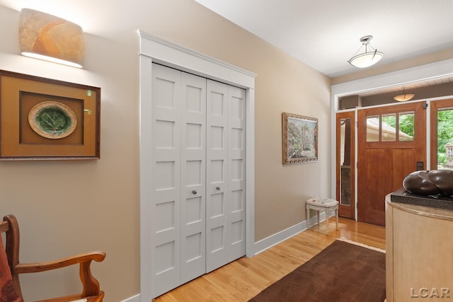 14967 S Shore Dr, Addison, MI 49220 - foyer entrance featuring wood finished floors and baseboards