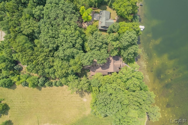 14967 S Shore Dr, Addison, MI 49220 - aerial view of property and surrounding area