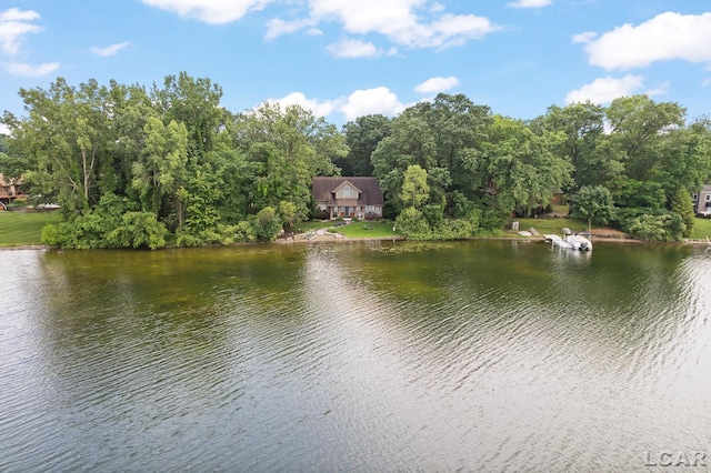 14967 S Shore Dr, Addison, MI 49220 - water view