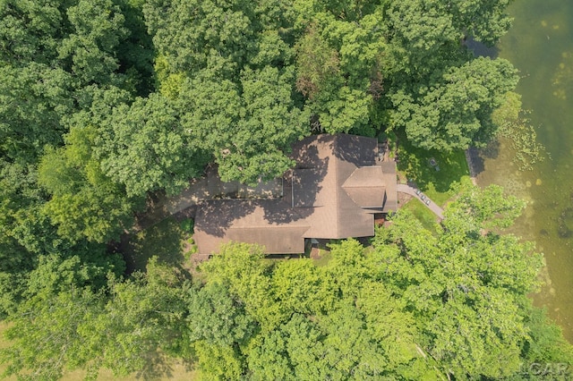 14967 S Shore Dr, Addison, MI 49220 - view from above of property