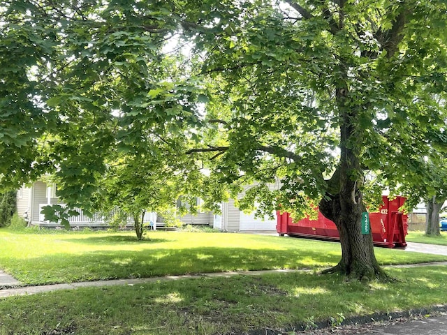 5425 Westchester Dr, Flint, MI 48532 - view of green lawn