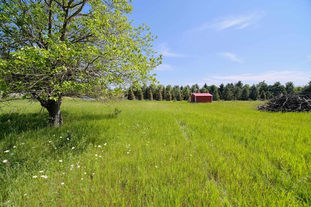 762 Eastman Rd, Beulah, MI 49617 - photo 46