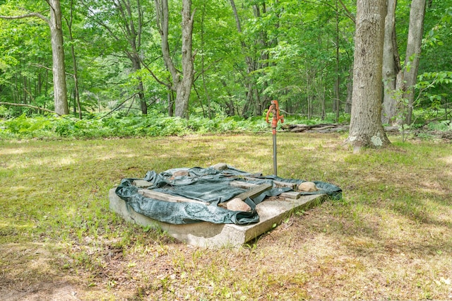 122 Canyon Rd, Leroy, MI 49655 - view of yard with a forest view