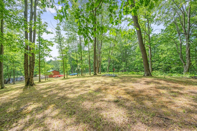 122 Canyon Rd, Leroy, MI 49655 - view of yard