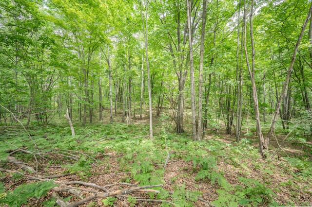 122 Canyon Rd, Leroy, MI 49655 - view of woods