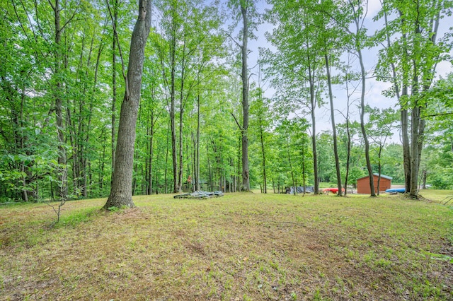 122 Canyon Rd, Leroy, MI 49655 - view of yard with a view of trees