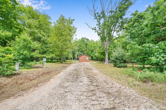 122 Canyon Rd, Leroy, MI 49655 - view of dirt / gravel driveway featuring a wooded view