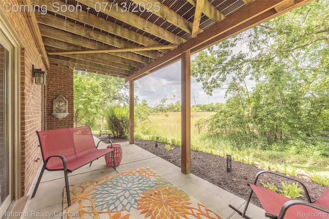285 Ash Ct, South Lyon, MI 48178 - view of patio