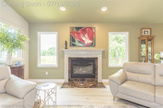 285 Ash Ct, South Lyon, MI 48178 - living room with plenty of natural light, wood finished floors, a high end fireplace, and recessed lighting