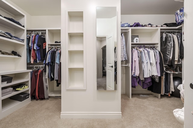 1431 Edgemoor Ave, Kalamazoo, MI 49008 - walk in closet with carpet floors