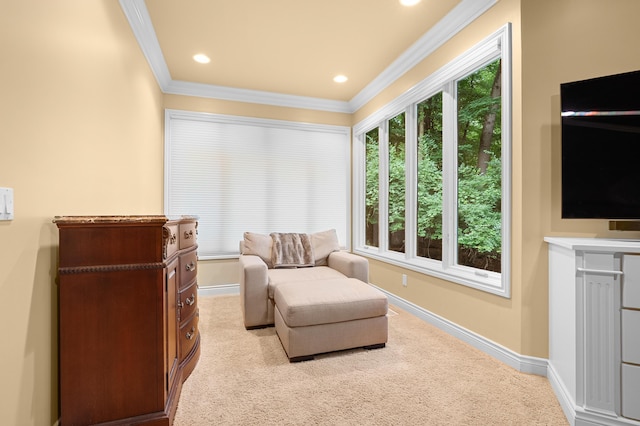 1431 Edgemoor Ave, Kalamazoo, MI 49008 - sitting room featuring crown molding, carpet floors, and recessed lighting