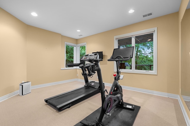 1431 Edgemoor Ave, Kalamazoo, MI 49008 - exercise area with carpet and recessed lighting