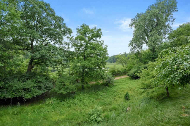 1431 Edgemoor Ave, Kalamazoo, MI 49008 - view of local wilderness
