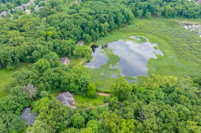 1431 Edgemoor Ave, Kalamazoo, MI 49008 - aerial view of property's location featuring a large body of water and a heavily wooded area