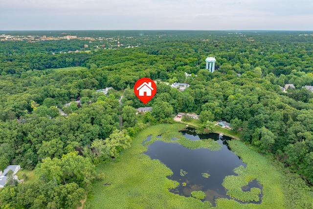 1431 Edgemoor Ave, Kalamazoo, MI 49008 - aerial view of a nearby body of water and a heavily wooded area
