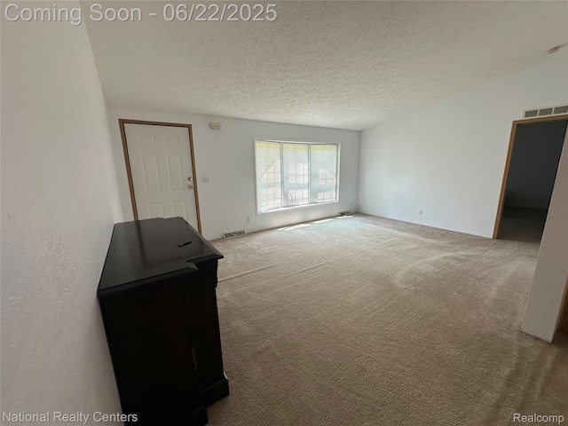 8049 Mckinley Rd, Clay, MI 48001 - unfurnished living room with carpet and a textured ceiling