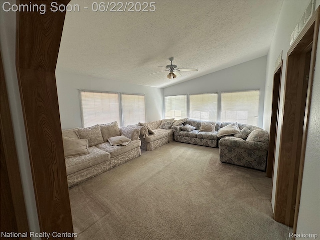 8049 Mckinley Rd, Clay, MI 48001 - carpeted living room featuring a ceiling fan, vaulted ceiling, and a textured ceiling