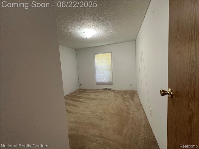 8049 Mckinley Rd, Clay, MI 48001 - carpeted spare room with a textured ceiling