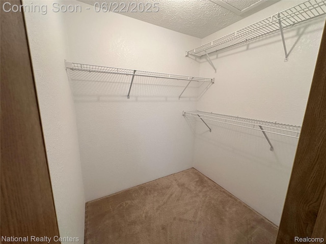 8049 Mckinley Rd, Clay, MI 48001 - walk in closet with carpet floors