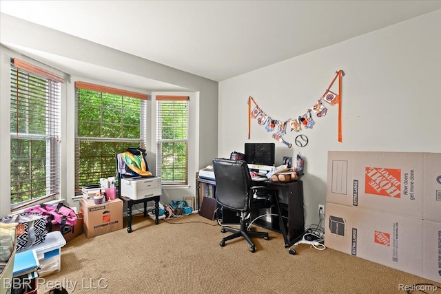 20077 Dovetail Dr, Brownstown, MI 48183 - home office featuring carpet