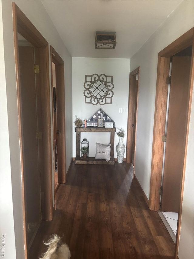 5636 Crescent St, Norway, MI 49870 - hall featuring wood finished floors