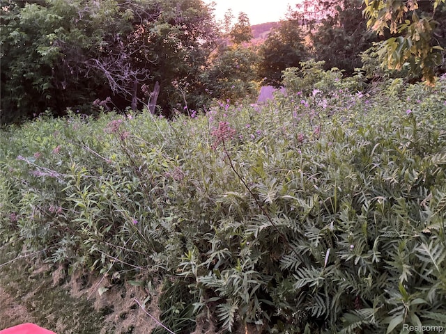 5636 Crescent St, Norway, MI 49870 - view of nature