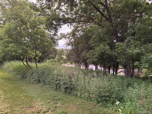 5636 Crescent St, Norway, MI 49870 - view of local wilderness