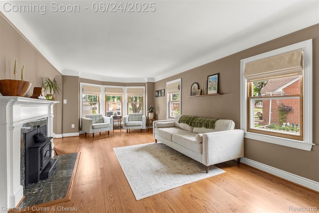 15275 Belmont Ave, Allen Park, MI 48101 - living area with light wood-style flooring, plenty of natural light, and a wood stove