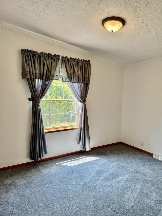 8484 Zosel St, Onekama, MI 49675 - unfurnished room with carpet floors, a textured ceiling, and ornamental molding
