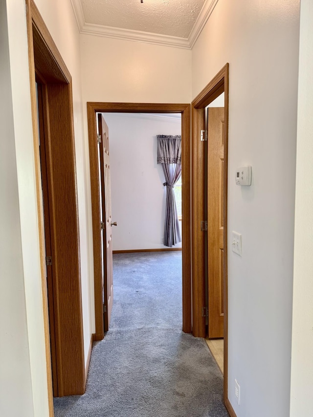 8484 Zosel St, Onekama, MI 49675 - hall with carpet flooring, crown molding, and a textured ceiling