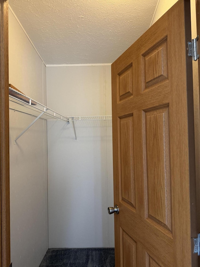 8484 Zosel St, Onekama, MI 49675 - walk in closet featuring carpet