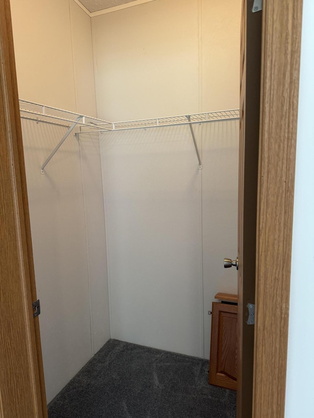 8484 Zosel St, Onekama, MI 49675 - spacious closet with carpet floors