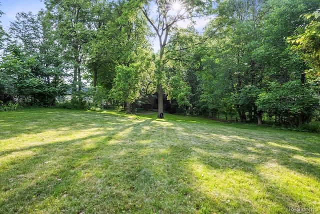 1704 Opaline Dr, Delta, MI 48917 - photo 30