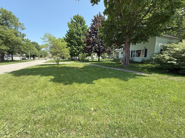 715 Filer Ave, Filer City, MI 49634 - view of grassy yard