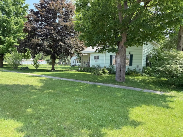 715 Filer Ave, Filer City, MI 49634 - view of green lawn