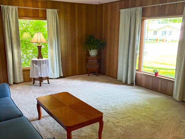 715 Filer Ave, Filer City, MI 49634 - carpeted living area featuring plenty of natural light and wooden walls