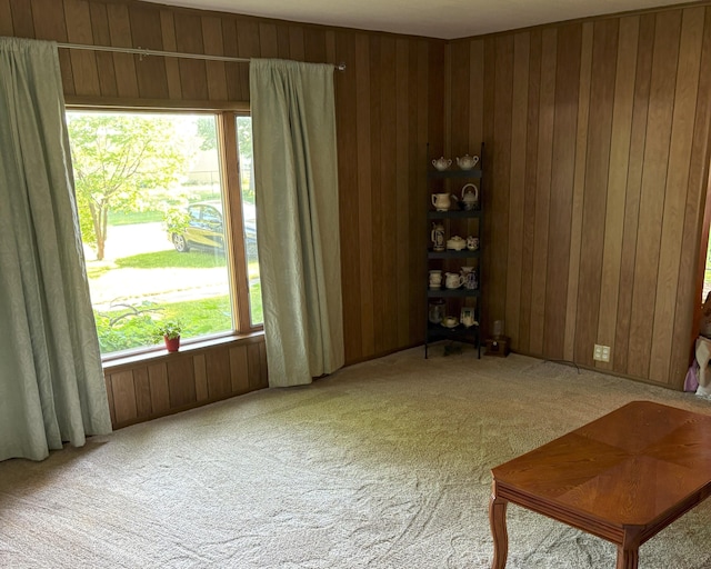 715 Filer Ave, Filer City, MI 49634 - spare room featuring carpet flooring and wooden walls