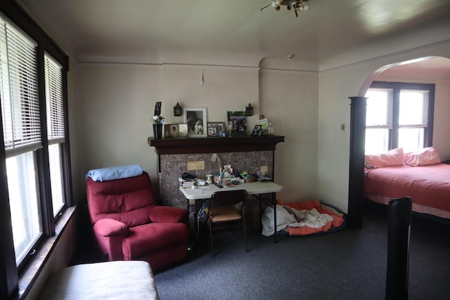 5523 Oregon St, Detroit, MI 48204 - living room featuring plenty of natural light, arched walkways, carpet floors, and a fireplace