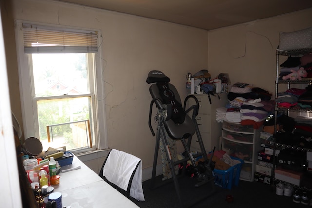 5523 Oregon St, Detroit, MI 48204 - view of storage