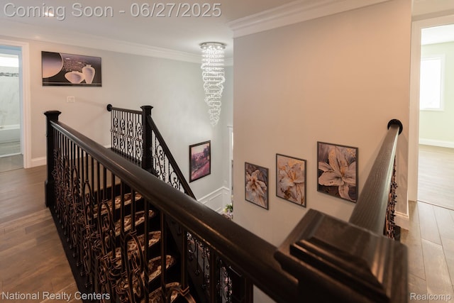 21504 Randall St, Farmington Hills, MI 48336 - photo 51