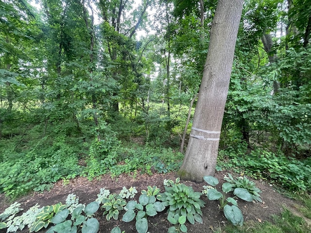 5753 Wood Valley Rd, Kalamazoo, MI 49009 - view of wooded area