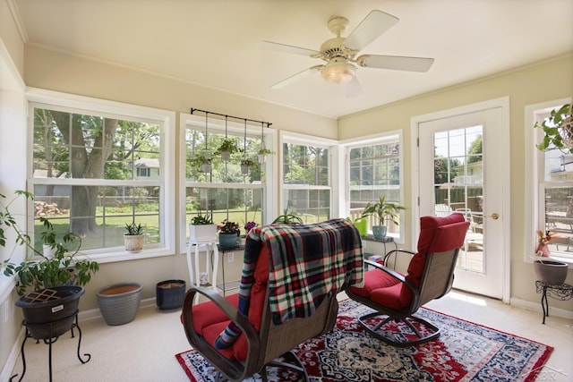 805 Westchester Rd, Saginaw, MI 48638 - photo 25