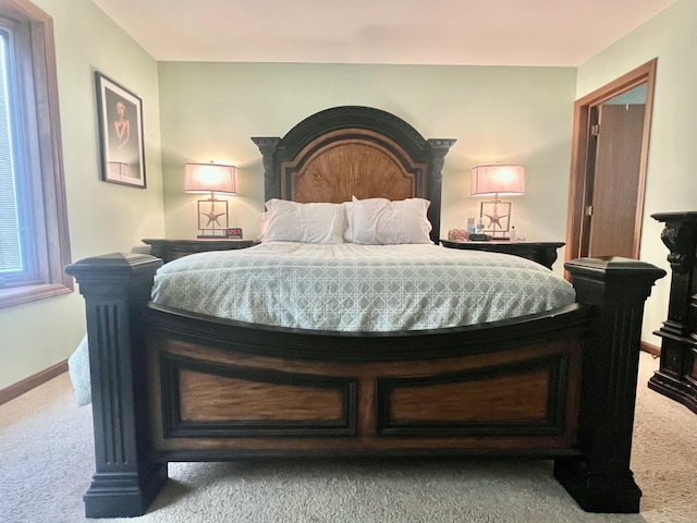 755 Tomahawk Trl, Coldwater, MI 49036 - bedroom featuring carpet flooring