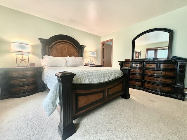 755 Tomahawk Trl, Coldwater, MI 49036 - view of carpeted bedroom