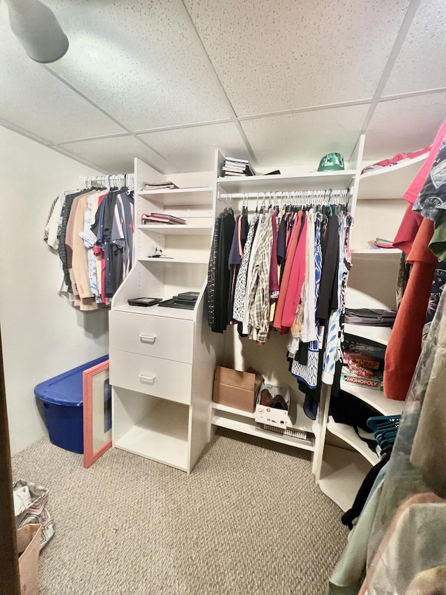 755 Tomahawk Trl, Coldwater, MI 49036 - walk in closet featuring a drop ceiling and carpet