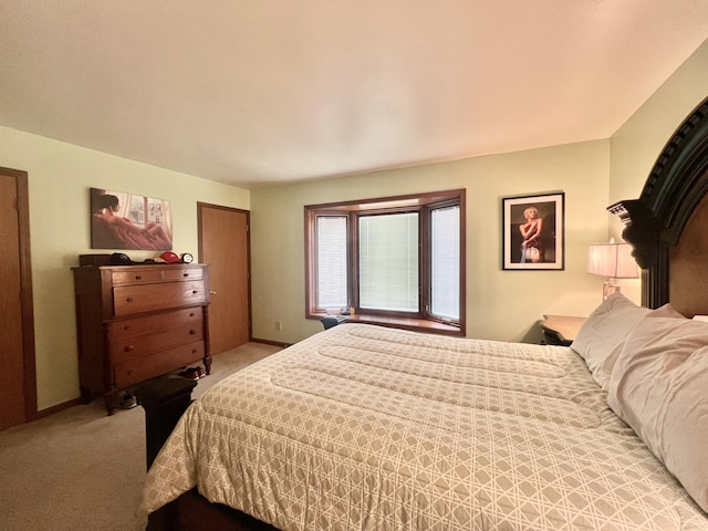 755 Tomahawk Trl, Coldwater, MI 49036 - bedroom featuring carpet and a closet