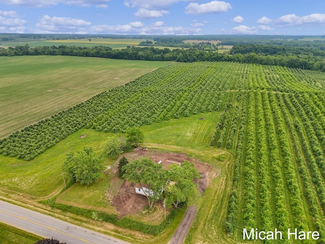 3054 Sehler St, Conklin, MI 49403 - aerial view of sparsely populated area featuring rows of crops