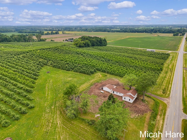 3054 Sehler St, Conklin, MI 49403 - view of rural area featuring abundant farmland