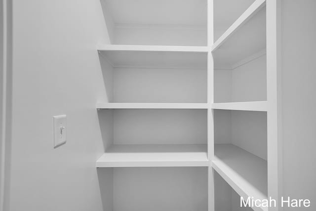 3054 Sehler St, Conklin, MI 49403 - view of pantry